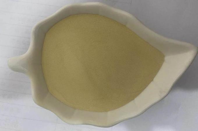 Biergistpoeder Voedingsadditief 50-70% Ruw Eiwit voor Vee 3