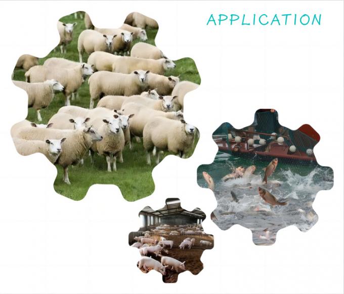 Gist Nano-selenium toevoegingsmiddel voor diervoeders 2000 mg/kg 1