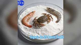 Boost Animal Health Biologisch Mn 20 voeradditief