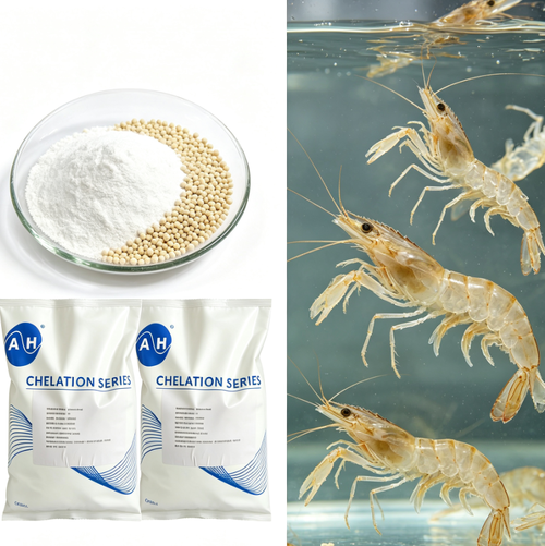 Latest company news about Beheer van de behoeften aan sporenelementen in aquacultuurvoer met organische magnesiumbronnen